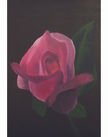 Yin Jing (Violet) Ho2.jpg
